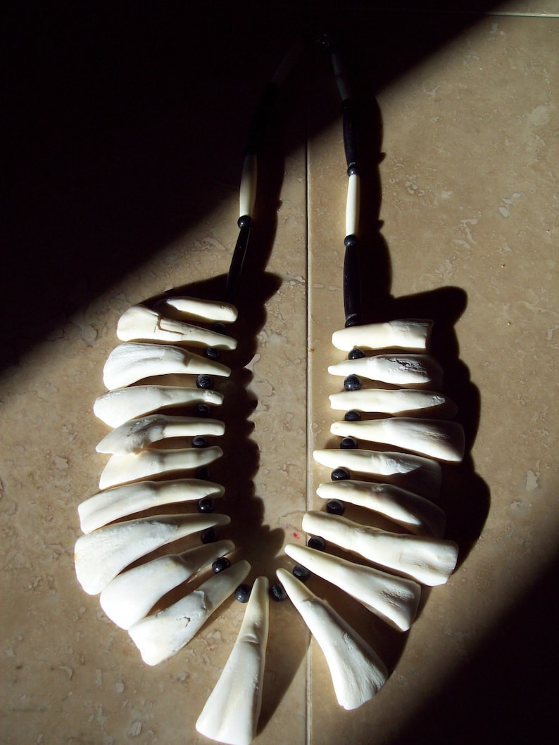 Native American Made Buffalo tooth necklace image 2