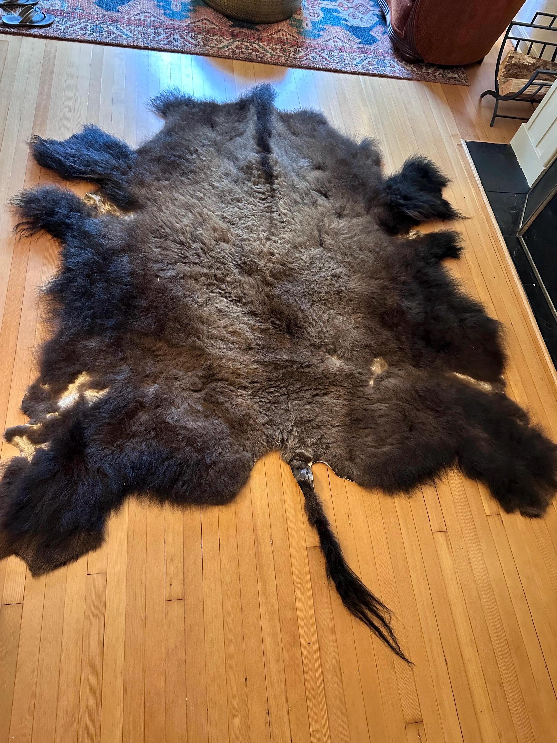 Mounted Buffalo Robe Painted Buffalo Robe: Native American Made, Earth Pigments, Wild Bison ...