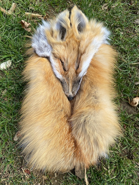Mask Sporran Fox Traditional Scottish Kilt Accessory Etsy Hong Kong