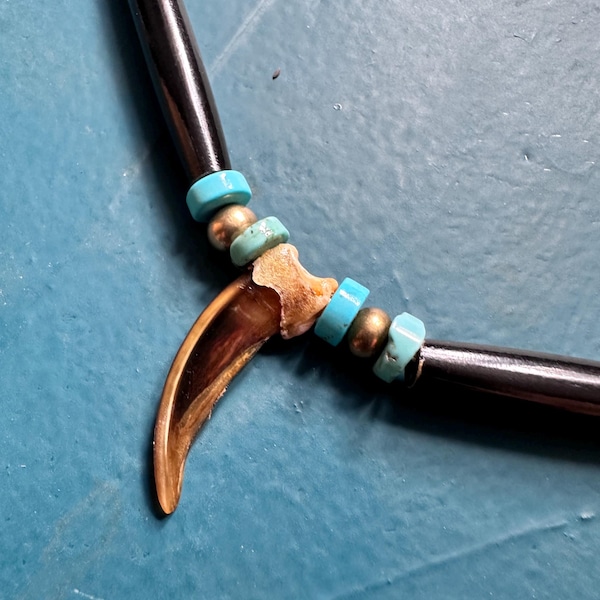 Native American Made Badger claw necklace