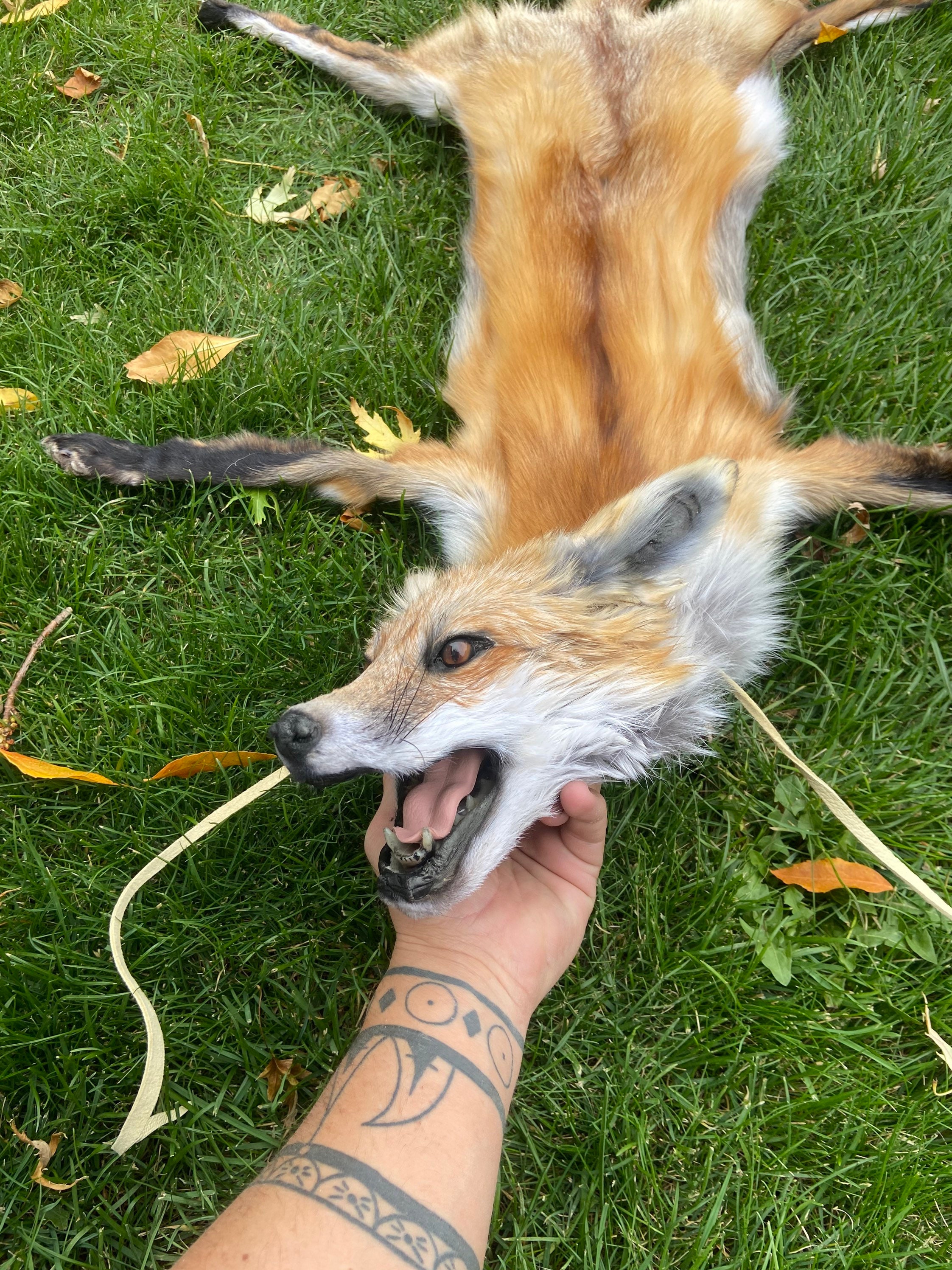 Red Fox Headdress Native American Made - Etsy