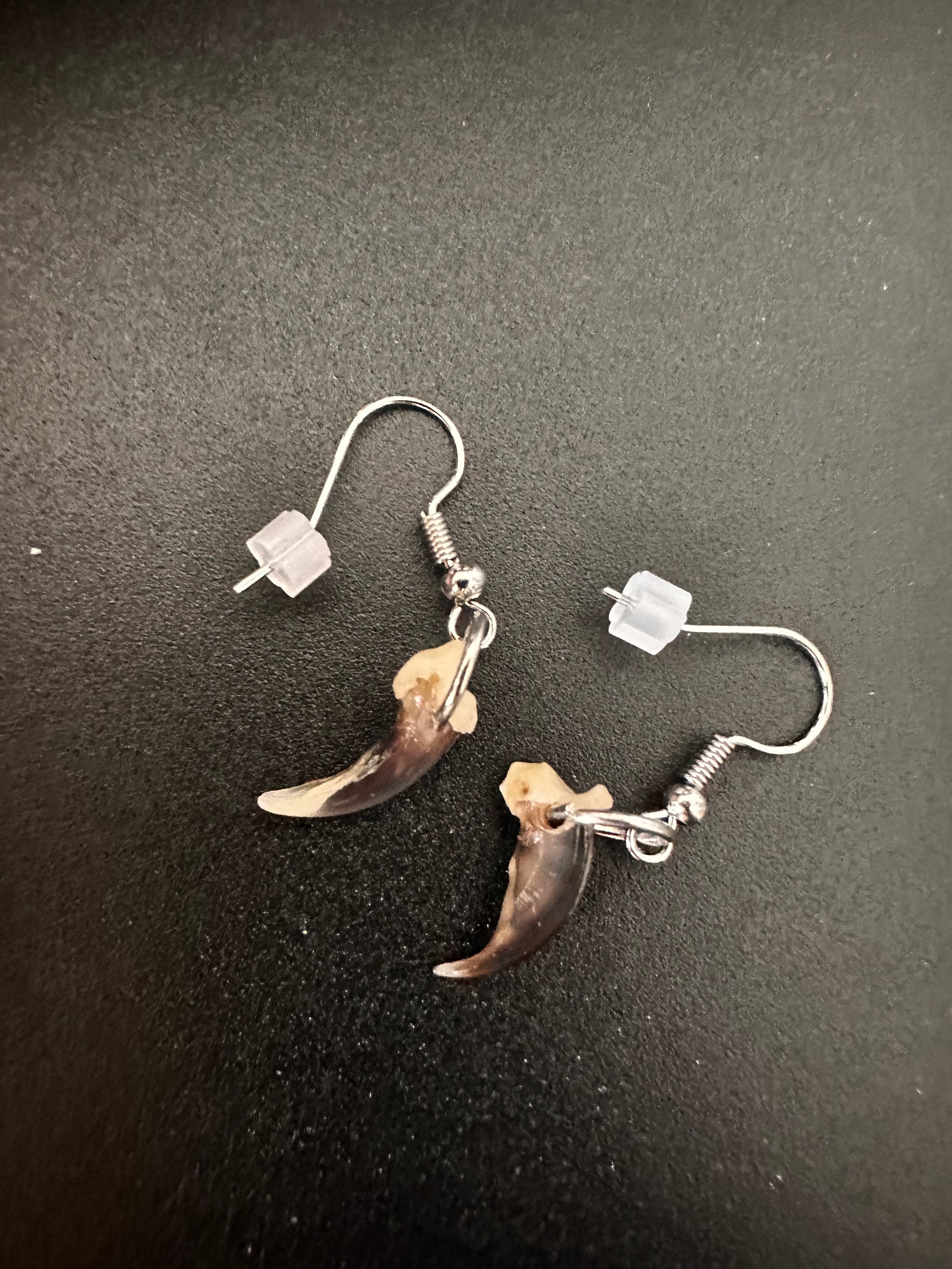 Handmade Silver Star Hair Clips And Dangle Earrings With Real Fox Teeth Pendants Little Fox Stud Earring in Sterling Silver – Celtic Crystal  main image 4