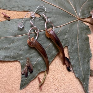 Native Made Badger Claw earrings