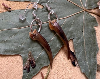 Native Made Badger Claw earrings