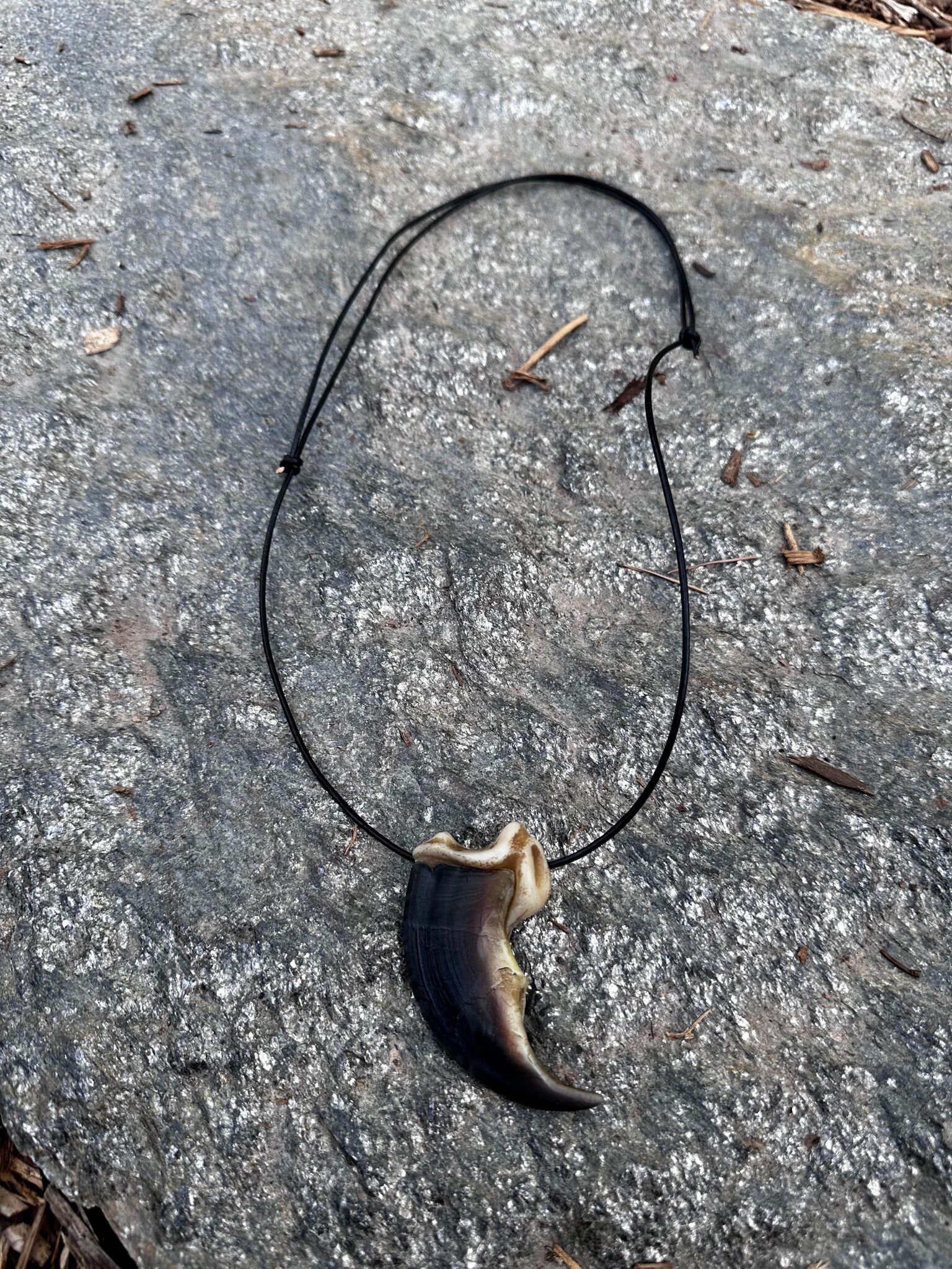 Replica Polar Bear Claw Necklace Native American Made - Etsy