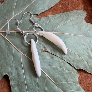 coyote tooth earrings native american made