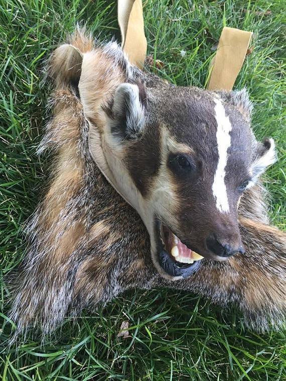 badger sporran for sale