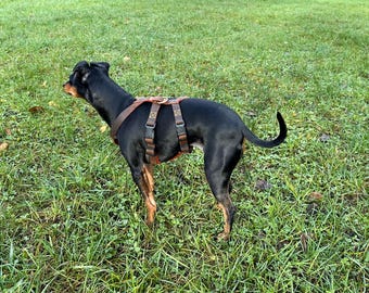 Leather Harness Sewing Pattern, Size S (PDF pattern with instructions)