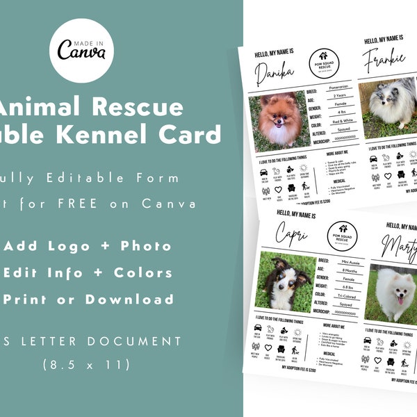 Animal Shelter Cage Card - Etsy