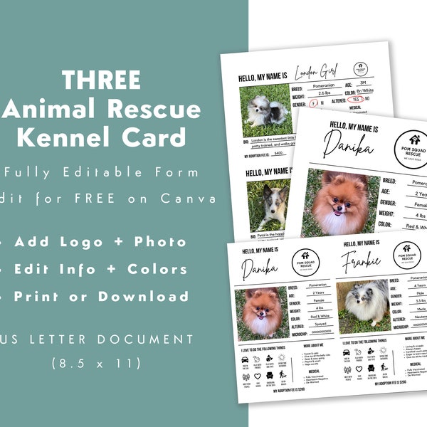 Editable Animal Shelter Kennel Card TRIO | Cage Card | Rescue Printable Kennel Card | Dog Rescue | Cat Rescue | Animal Rescue | CANVA