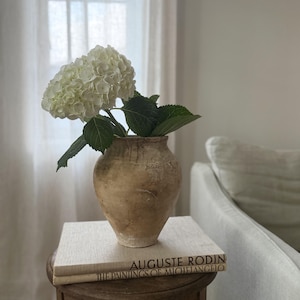 May include: A weathered, tan-colored ceramic vase with a rounded body and narrow neck, containing a cluster of white hydrangea flowers with green leaves. The vase rests on two stacked books titled Auguste Rodin and The Paintings of Michelangelo.
