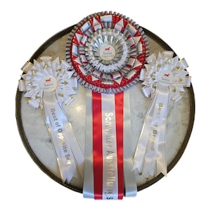 Gift for Dog Lovers – Custom Champion Rosette | Personalized Dog Show Ribbon | Flot chien – Hundeschleife – Pet Award