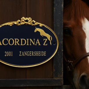 Puede incluir: Un letrero ovalado con borde dorado y el texto "ACORDINA Z 2001 ZANGERSHEIDE" en letras doradas, montado en una puerta de madera. Una silueta dorada de un caballo está encima del texto. Se ve un caballo marrón con una lista blanca.