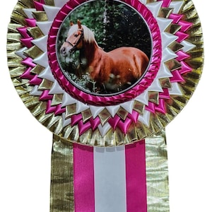 May include: A circular award rosette featuring a central photograph of a brown horse with a blonde mane. The rosette is constructed with layered pleated ribbons in metallic gold, white, and magenta, with three long vertical ribbon tails below.