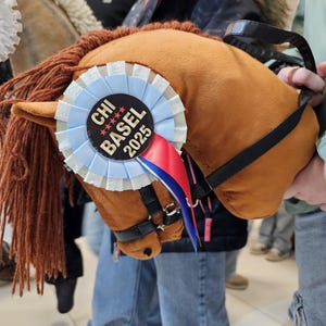 Mini Rosettes for Competitions & Celebrations – Personalized Award Ribbon – Horse competition – dog show – birthday –Decor flo – children