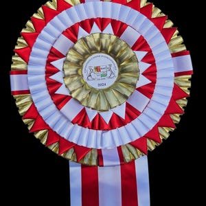 Big Prestige Rosette Ribbon Flot(±30×70cm) – Custom Text and Logo For dog , horse show. Birthdays,  weddings,  party, Custom gift.