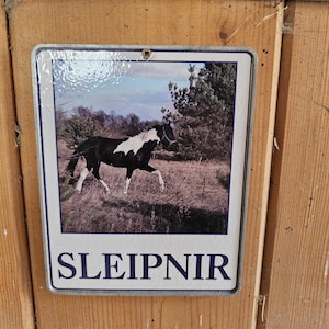 Custom Horse Name Plate • 13×16 cm Aluminum Plaque with Vinyl Print • Personalised with Your Horse Photo • Stable or Stall Sign