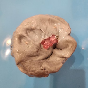 以下が含まれることがあります： 薄い灰色のスライムのクローズアップ。ピンクとゴールドのチャームが埋め込まれています。スライムは青い表面の上に置かれています。