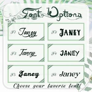 May include: A graphic showcasing six font options for the name "Janey". Each font is displayed in a rectangular box with a light green background. The text "Font Options" is at the top, and "Choose your favorite font!" is at the bottom.