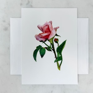 Carte de correspondance florale Colette, rose grimpante