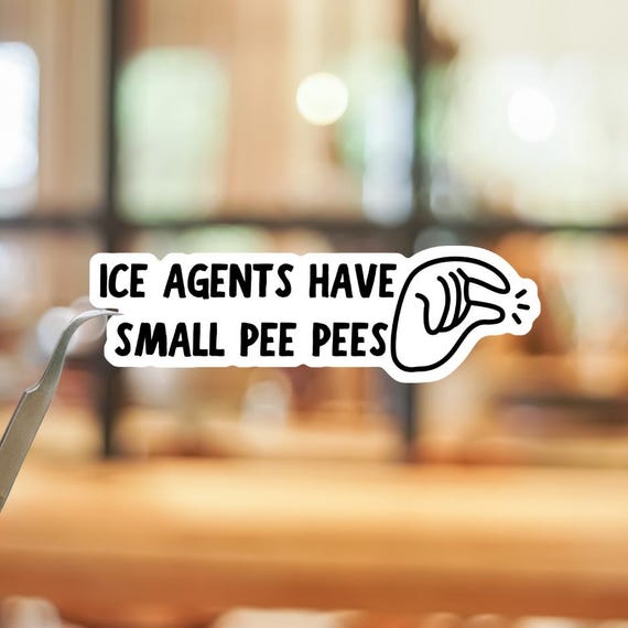 Anti ICE Vinyl Sticker or Magnet, Pro Immigrant Rights, Social Justice Gift 3 inch