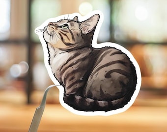 Tabby Cat Sticker or Magnet, Illustration, Cat Lover Gift