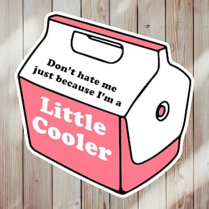 Little Cooler Sticker or Magnet, Funny Cooler Pun Vinyl Decal, Humor Gift image 3