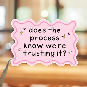 Funny Anxiety Sticker, Mental Health Humor Decal, Trust Process Meme