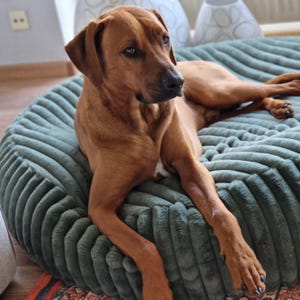 Zooplus - Etsy.de