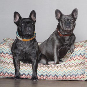 Orthopedic dog bed ZICZAC! image 6