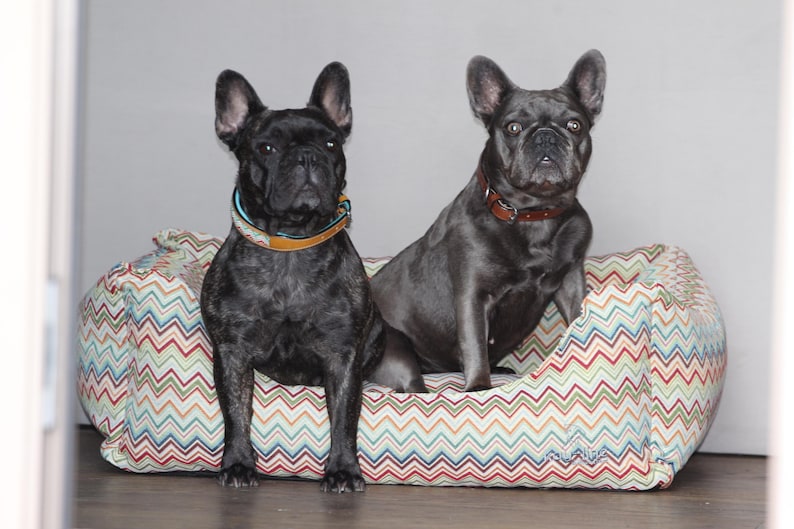 Orthopedic dog bed ZICZAC! image 6