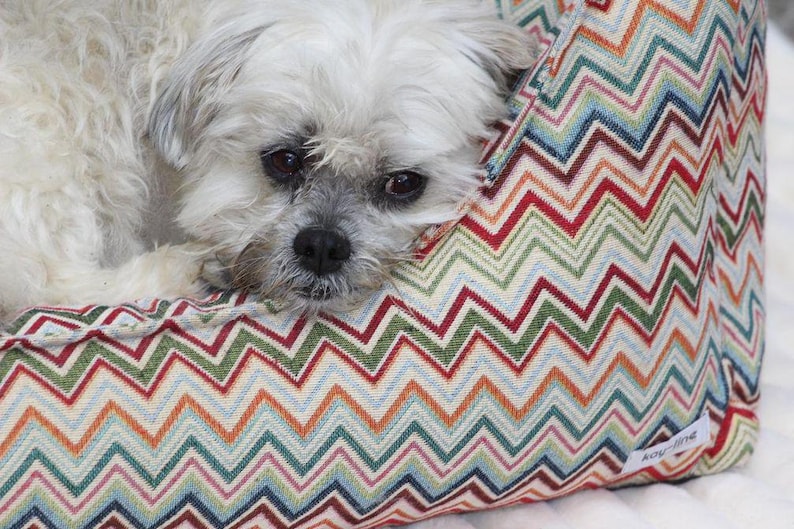 May include: A small white dog with brown eyes is resting its head on a colorful chevron patterned dog bed. The bed has a zig-zag pattern in shades of red, orange, blue, green, and white.