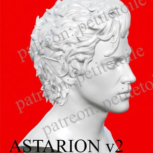 Baldur's Gate 3 Astarion Bust STL 3D Model