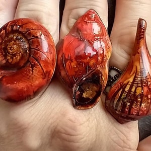 Seashells rings