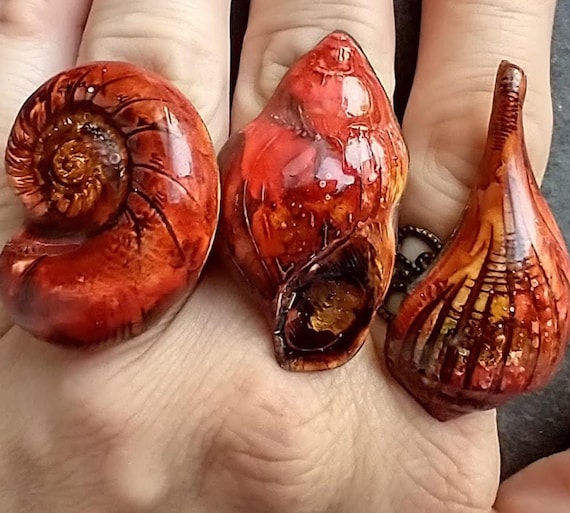 Seashells rings