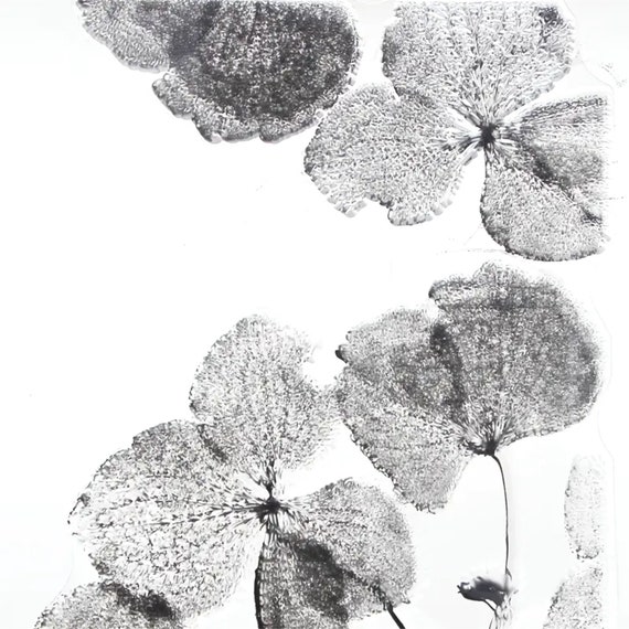 Leaves texture silicone clear stamp