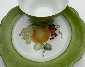 Hand Painted Fruit Teacup and Plate Set - Johann Haviland Bavaria