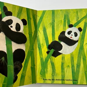 May include: A colourful children's book illustration showing two pandas amongst green bamboo stalks. One panda climbs, the other rests. The text reads, "Every day she climbed the bamboo trees."