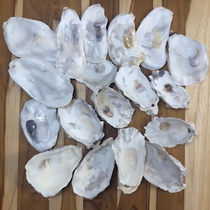 Mixed Oyster Shells (3–4.5” Flat & Cupped) – Natural Coastal Decor, Art and Craft Supplies