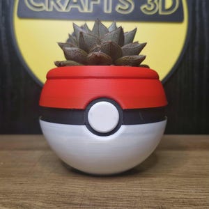 Può includere: Un vaso da fiori rosso, nero e bianco a forma di Poké Ball con una piccola pianta grassa all'interno. Il vaso è in plastica stampata in 3D.
