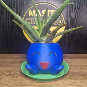 May include: A blue and green 3D printed planter shaped like a cartoon character with a happy face. The planter is holding a green succulent plant.