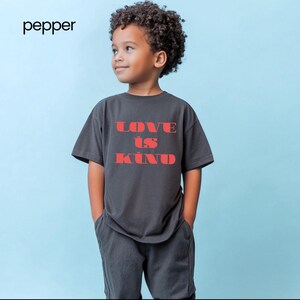 Camiseta Love is Kind Youth Comfort Colors, 1 Coríntios 13 Capítulo, Bondade, Camiseta Kinde, Citações de Bondade Amorosa, Bondade, Gifted-lovely