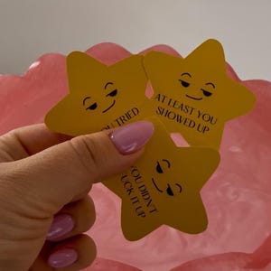 Collection d'autocollants étoiles sarcastiques | Stickers bouteille d'eau | Vinyle découpé imperméable | Cadeau personnalisé | Découpe