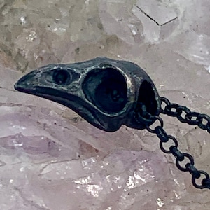 Small Bird Skull Necklace, Blackened Sterling Silver Bird Skull Made in NYC