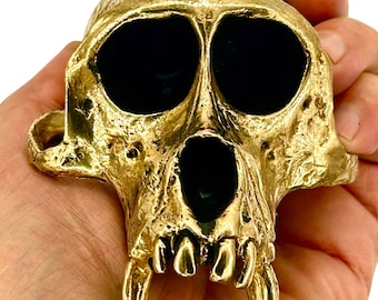 Life Size Monkey Skull Rhesus Macaque Life-Cast Purified Recycled yellow Bronze (Made in NYC)
