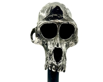 Rhesus Macaque Skull: Recycled White Bronze Life Cast (Made in NYC)