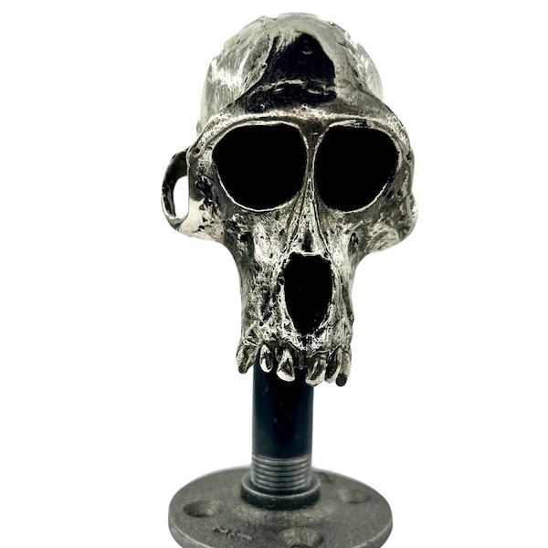 Monkey Skull, Rhesus Macaque Life Size Monkey Skull  Purified Recycled White Bronze (Made in NYC)