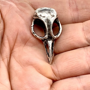 Metal Bird Skull Cabinet Knob cast metal. Antique silver plate. Made in NYC Price is per knob image 1