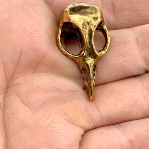 以下が含まれることがあります： 金色の鳥の頭蓋骨のペンダント。頭蓋骨は眼窩とくちばしで詳細に作られています。