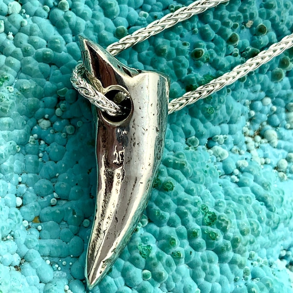 Crocodile Tooth Alligator tooth necklace in Sterling SIlver Wildlife Jewelry by Blue Bayer NYC